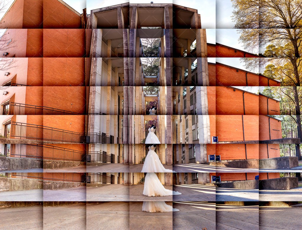 54 photos arranged in a panoramic collage, showing Ashi's wedding ballgown standing in front of a concrete breezeway on a sunny day.